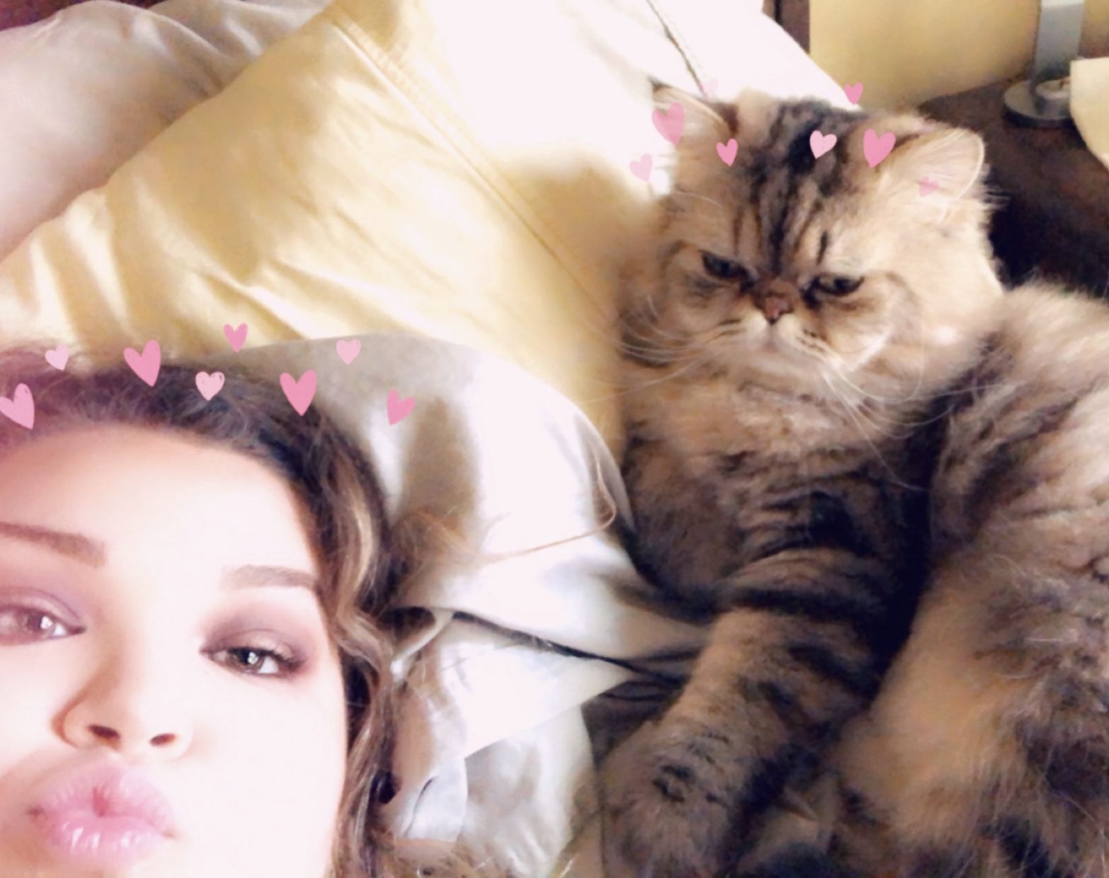 Cat selfies: Claudia and Mercilus